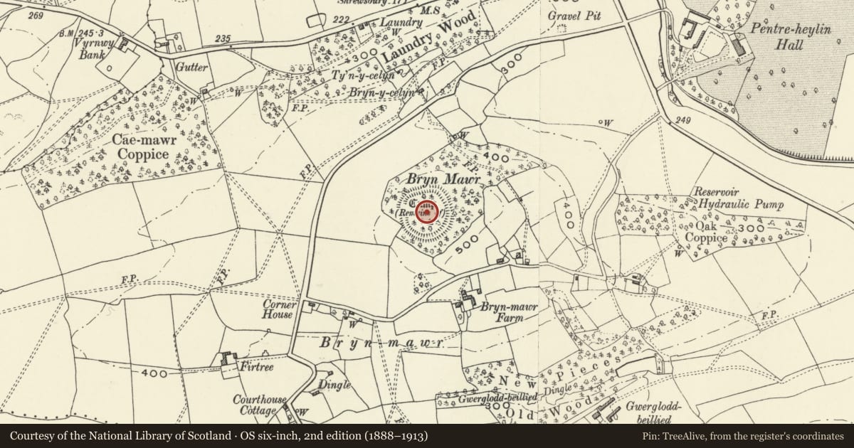 Ordnance Survey six-inch map, 2nd edition (1888–1913) covering the location of Bryn Mawr Camp, Llandysilio, Powys, with a pin at the register's coordinates