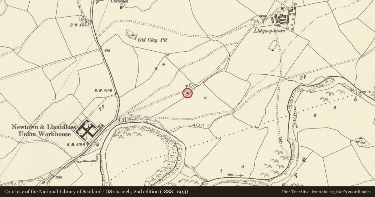 Ordnance Survey six-inch map, 2nd edition (1888–1913) covering the location of Roman Earthwork NE of Caersws (revealed by aerial photography), Powys, with a pin at the register's coordinates