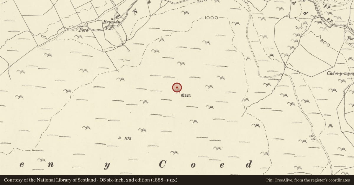 Ordnance Survey six-inch map, 2nd edition (1888–1913) covering the location of Pencad Cymru Cairn, Banwy, Powys, with a pin at the register's coordinates