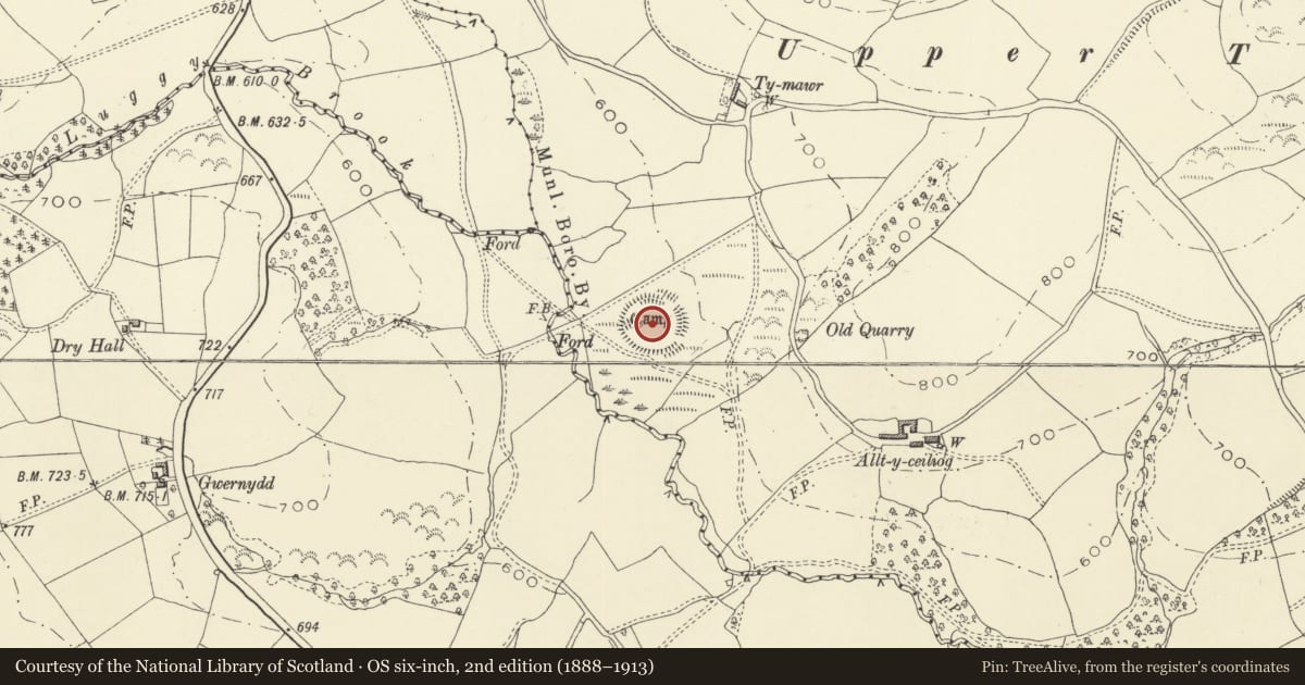 Ordnance Survey six-inch map, 2nd edition (1888–1913) covering the location of Camp 270m SSW of Ty Mawr, Castle Caereinion, Powys, with a pin at the register's coordinates