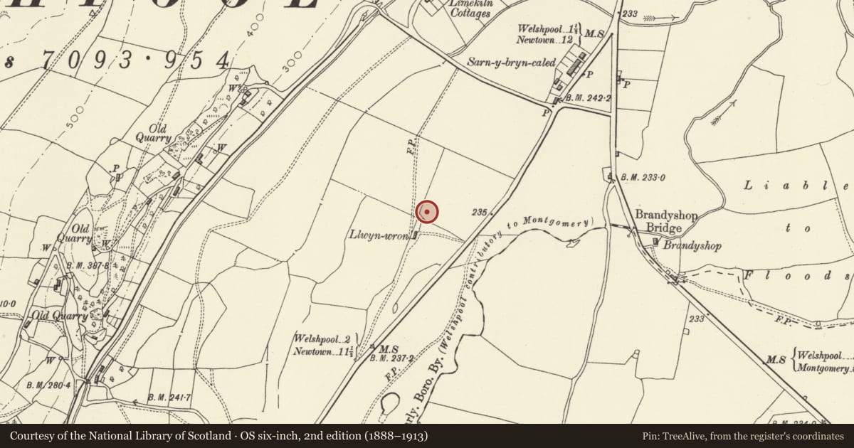 Ordnance Survey six-inch map, 2nd edition (1888–1913) covering the location of Cursus, Llwyn-Wron (revealed by aerial photography), Welshpool, Powys, with a pin at the register's coordinates
