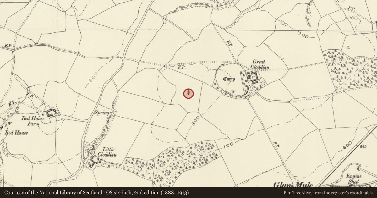 Ordnance Survey six-inch map, 2nd edition (1888–1913) covering the location of Camp SW of Great Cloddiau Farm (revealed by aerial photography), Kerry, Powys, with a pin at the register's coordinates