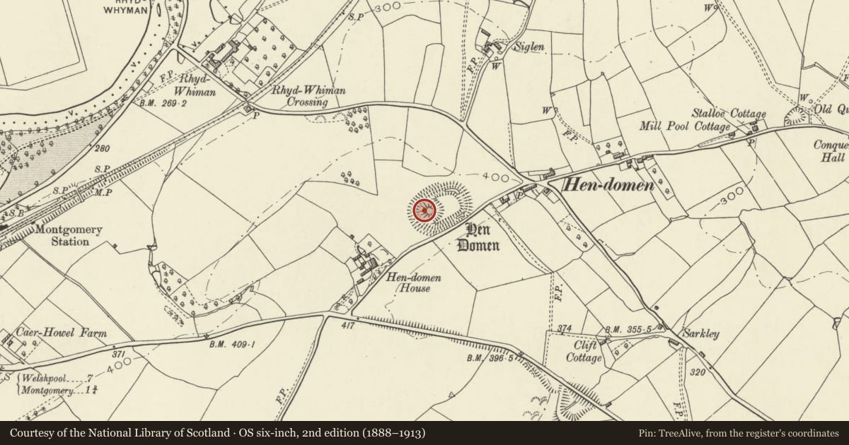 Ordnance Survey six-inch map, 2nd edition (1888–1913) covering the location of Hen Domen Pre-Conquest Fields, Montgomery, Powys, with a pin at the register's coordinates