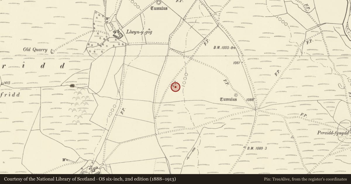 Ordnance Survey six-inch map, 2nd edition (1888–1913) covering the location of Barrow Group W of Staylittle, Trefeglwys, Powys, with a pin at the register's coordinates