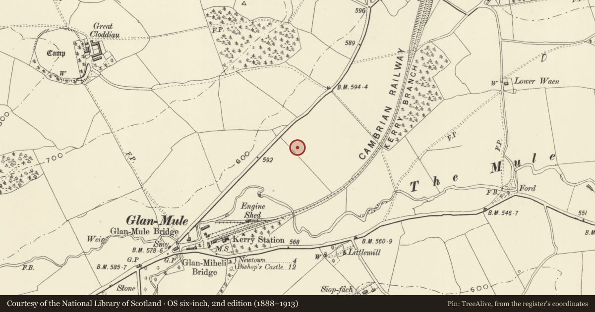Ordnance Survey six-inch map, 2nd edition (1888–1913) covering the location of Site 450m NW of Glan Mule (revealed by aerial photography), Kerry, Powys, with a pin at the register's coordinates