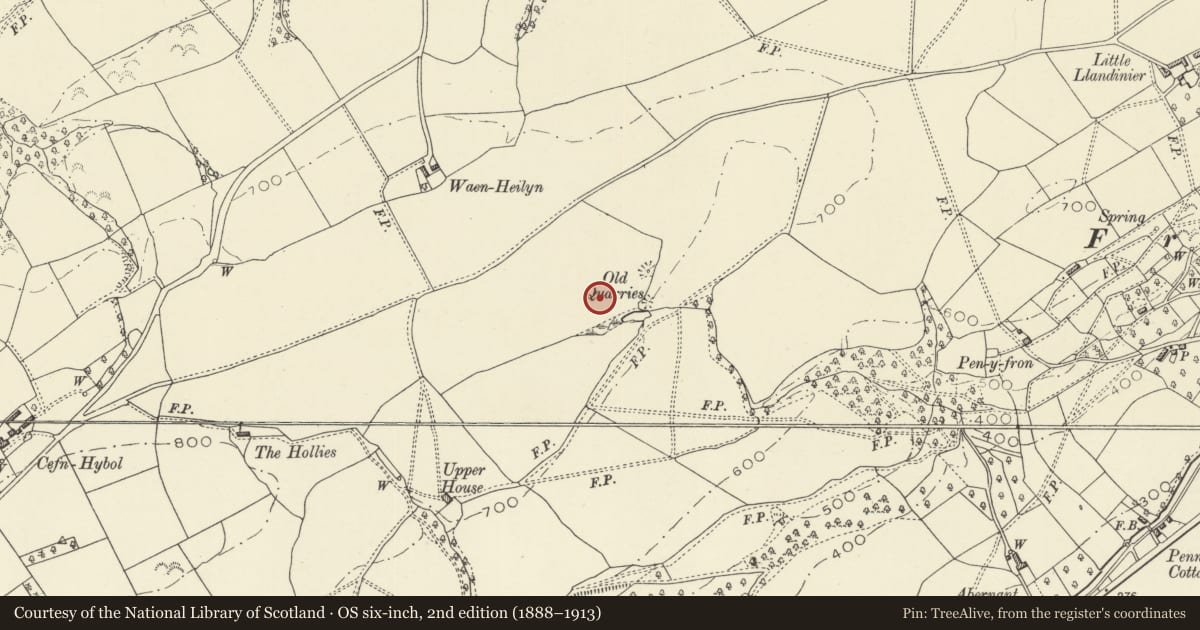 Ordnance Survey six-inch map, 2nd edition (1888–1913) covering the location of Camp 230m SE of Waen Heilyn (revealed by aerial photography), Berriew, Powys, with a pin at the register's coordinates