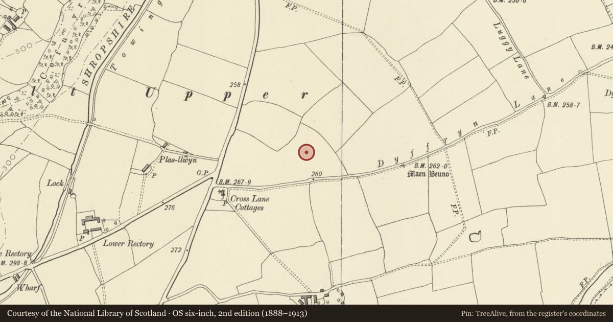Ordnance Survey six-inch map, 2nd edition (1888–1913) covering the location of Site E of Plas-Llwyn (revealed by aerial photography), Berriew, Powys, with a pin at the register's coordinates