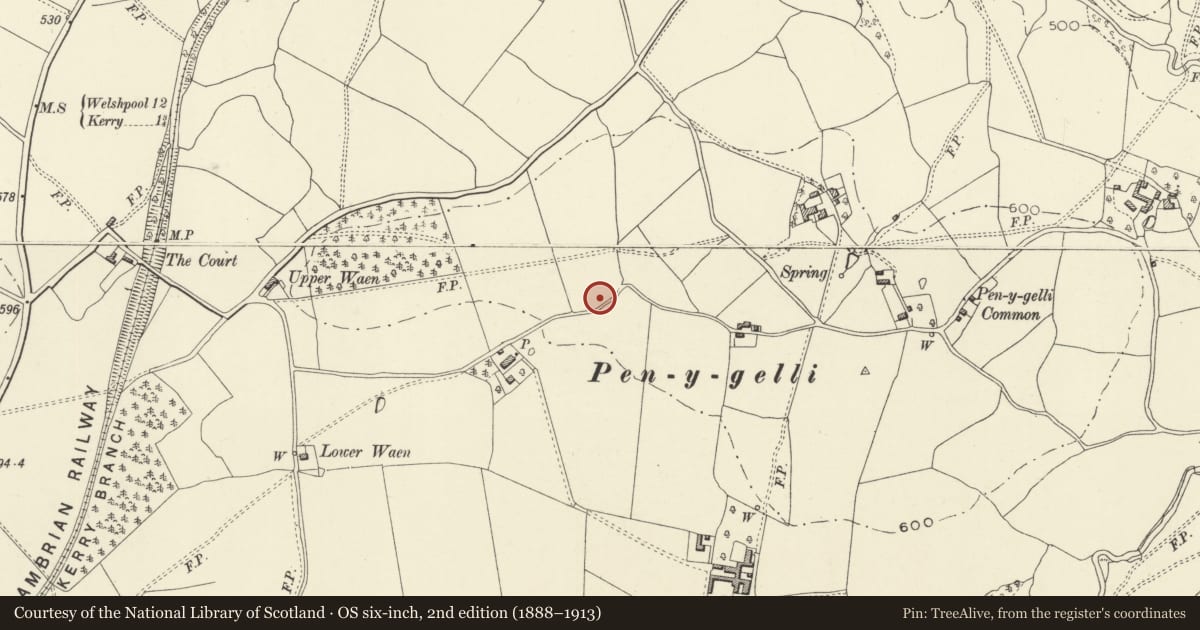 Ordnance Survey six-inch map, 2nd edition (1888–1913) covering the location of Camp Pen-y-Gelli (revealed by aerial photography), Kerry, Powys, with a pin at the register's coordinates