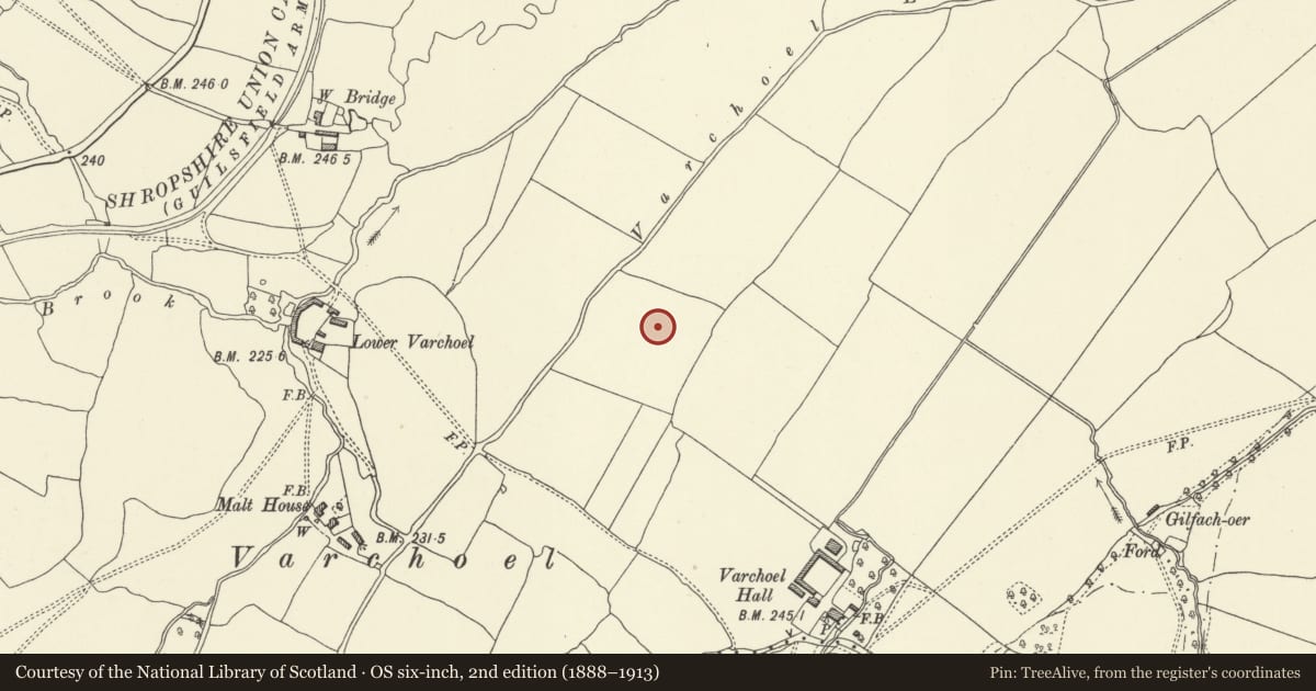 Ordnance Survey six-inch map, 2nd edition (1888–1913) covering the location of Camp 350m NW of Varchoel Hall (revealed by aerial photography), Guilsfield, Powys, with a pin at the register's coordinates