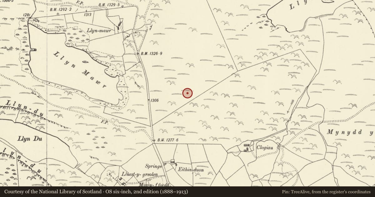 Ordnance Survey six-inch map, 2nd edition (1888–1913) covering the location of Ring Cairn 540m SW of Llyn y Tarw, Caersws, Powys, with a pin at the register's coordinates