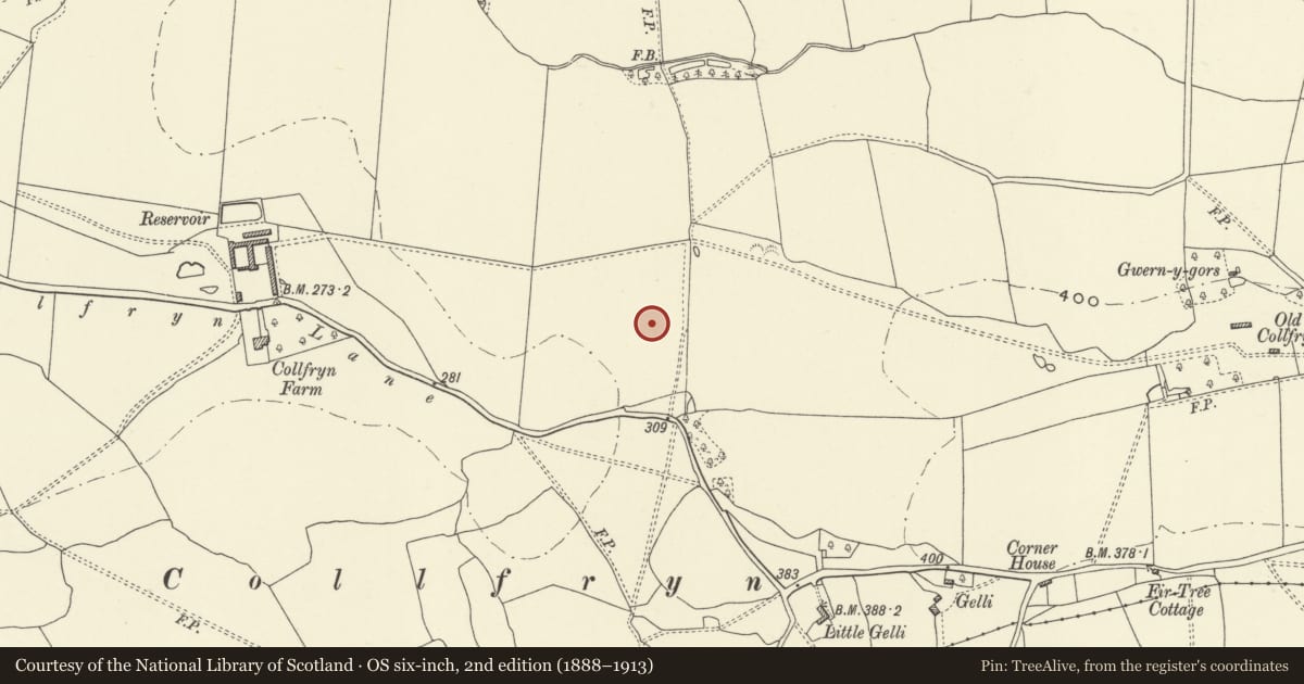 Ordnance Survey six-inch map, 2nd edition (1888–1913) covering the location of Collfryn Enclosure & Field System, Llansantffraid, Powys, with a pin at the register's coordinates