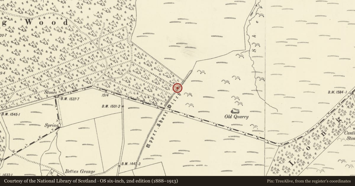 Ordnance Survey six-inch map, 2nd edition (1888–1913) covering the location of Upper Short Ditch, Kerry, Powys, with a pin at the register's coordinates