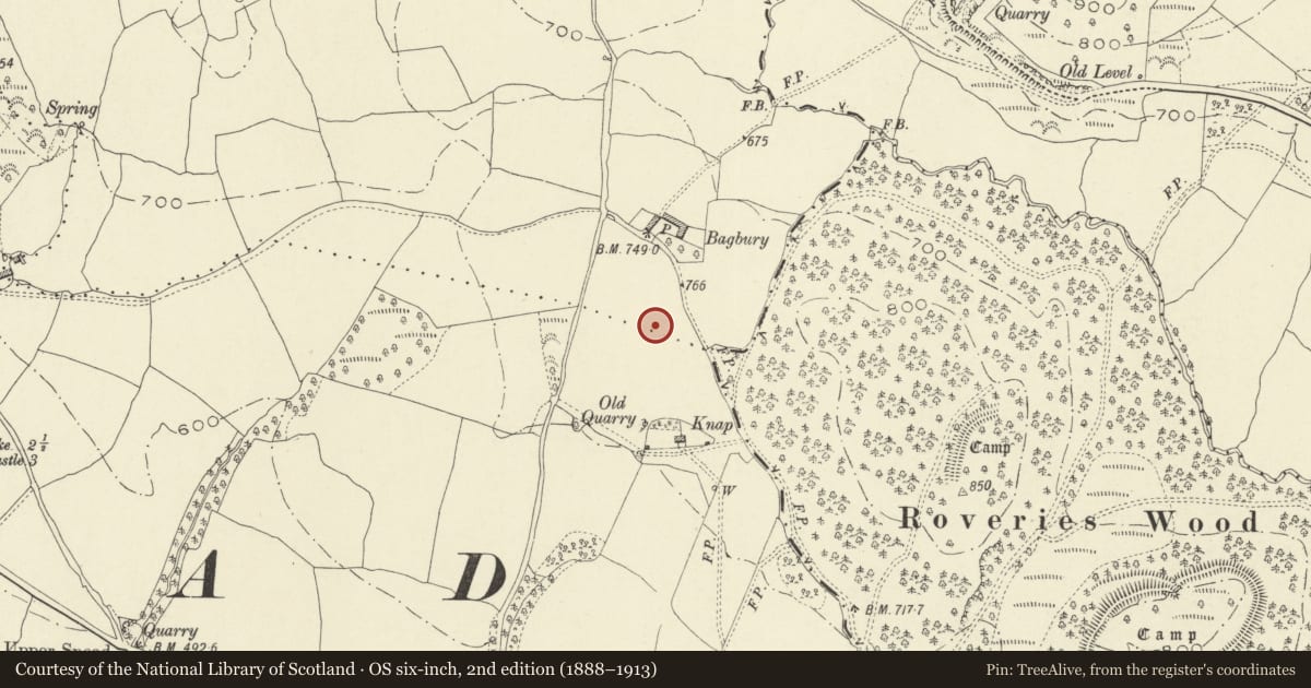 Ordnance Survey six-inch map, 2nd edition (1888–1913) covering the location of Site S of Bagbury (revealed by aerial photography), Churchstoke, Powys, with a pin at the register's coordinates