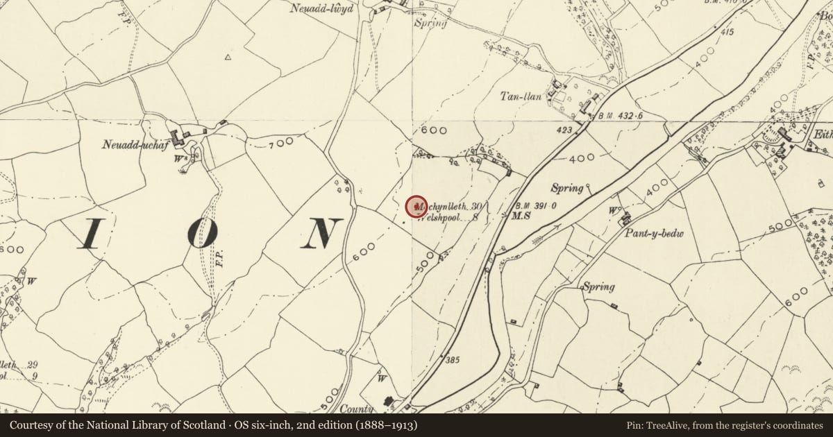 Ordnance Survey six-inch map, 2nd edition (1888–1913) covering the location of Site 300m SW of Tan-llan (revealed by aerial photography), Llanfair Caereinion, Powys, with a pin at the register's coordinates