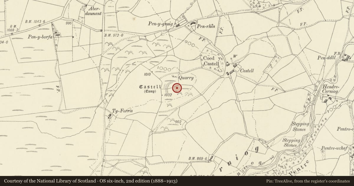 Ordnance Survey six-inch map, 2nd edition (1888–1913) covering the location of Castell Carno, Powys, with a pin at the register's coordinates
