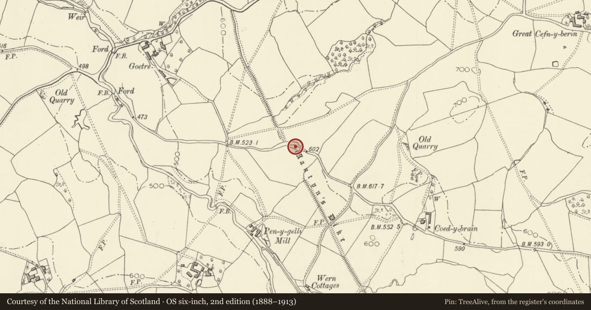 Ordnance Survey six-inch map, 2nd edition (1888–1913) covering the location of Wantyn Dyke, Kerry, Powys, with a pin at the register's coordinates