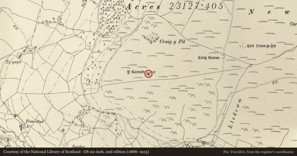 Ordnance Survey six-inch map, 2nd edition (1888–1913) covering the location of Yr Allor Cairn, Llanbrynmair, Powys, with a pin at the register's coordinates