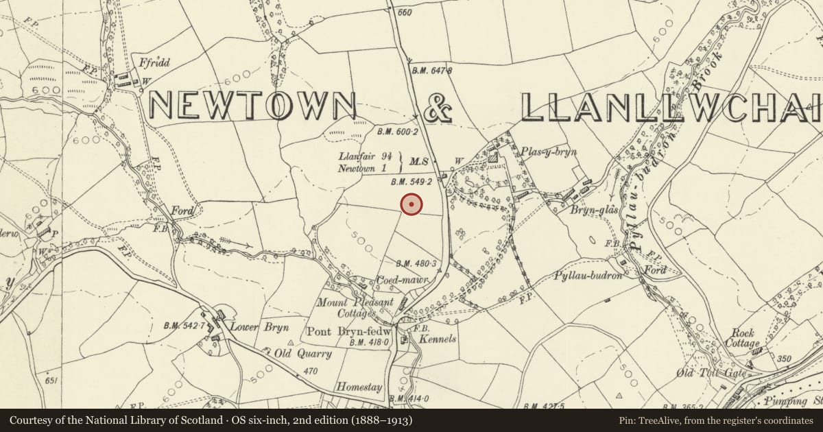 Ordnance Survey six-inch map, 2nd edition (1888–1913) covering the location of Bryn Bank Hillfort, Newtown and Llanllwchaiarn, Powys, with a pin at the register's coordinates