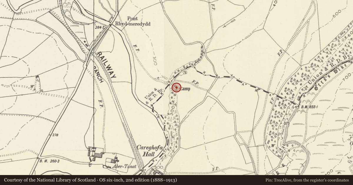 Ordnance Survey six-inch map, 2nd edition (1888–1913) covering the location of Carreghofa Castle, Powys, with a pin at the register's coordinates
