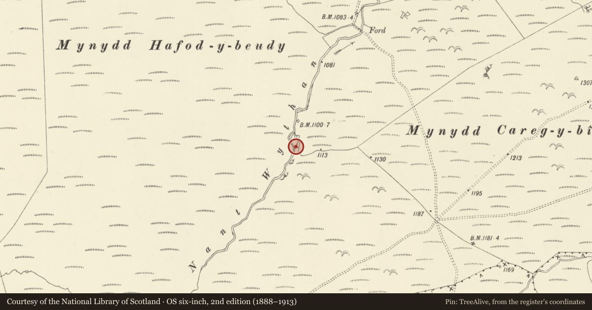 Ordnance Survey six-inch map, 2nd edition (1888–1913) covering the location of Root Store at Bon-y-Maen 800m NW of Blaen y Cwm, Llanerfyl, Powys, with a pin at the register's coordinates