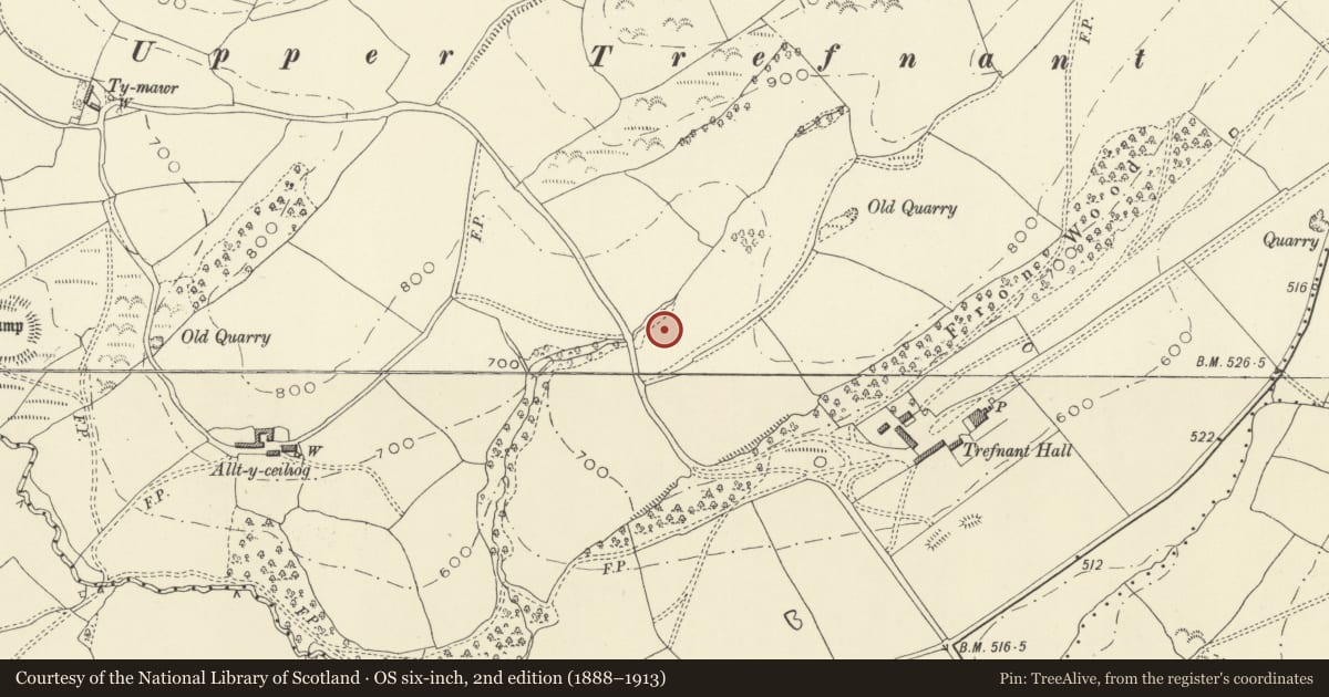 Ordnance Survey six-inch map, 2nd edition (1888–1913) covering the location of Plas Yr Alarch Moated Site, Castle Caereinion, Powys, with a pin at the register's coordinates