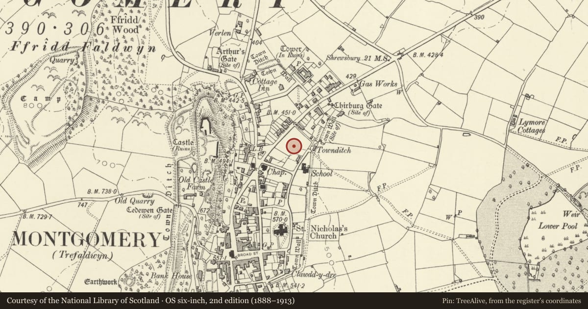 Ordnance Survey six-inch map, 2nd edition (1888–1913) covering the location of Montgomery Medieval Town, Part adjacent to Westmead, School Lane, Powys, with a pin at the register's coordinates