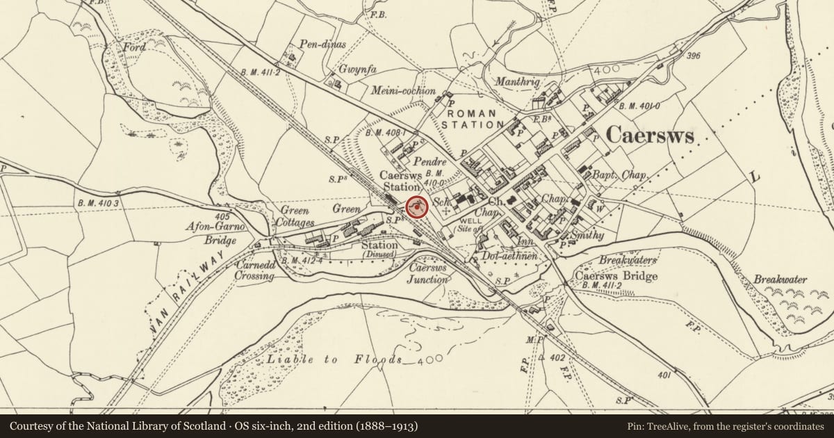 Ordnance Survey six-inch map, 2nd edition (1888–1913) covering the location of Caersws Roman Fort: Section of South Western Defences, Powys, with a pin at the register's coordinates