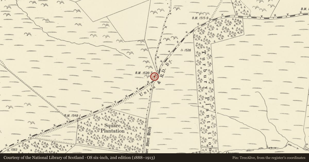Ordnance Survey six-inch map, 2nd edition (1888–1913) covering the location of Lower Short Ditch (Northern Part), Kerry, Powys, with a pin at the register's coordinates