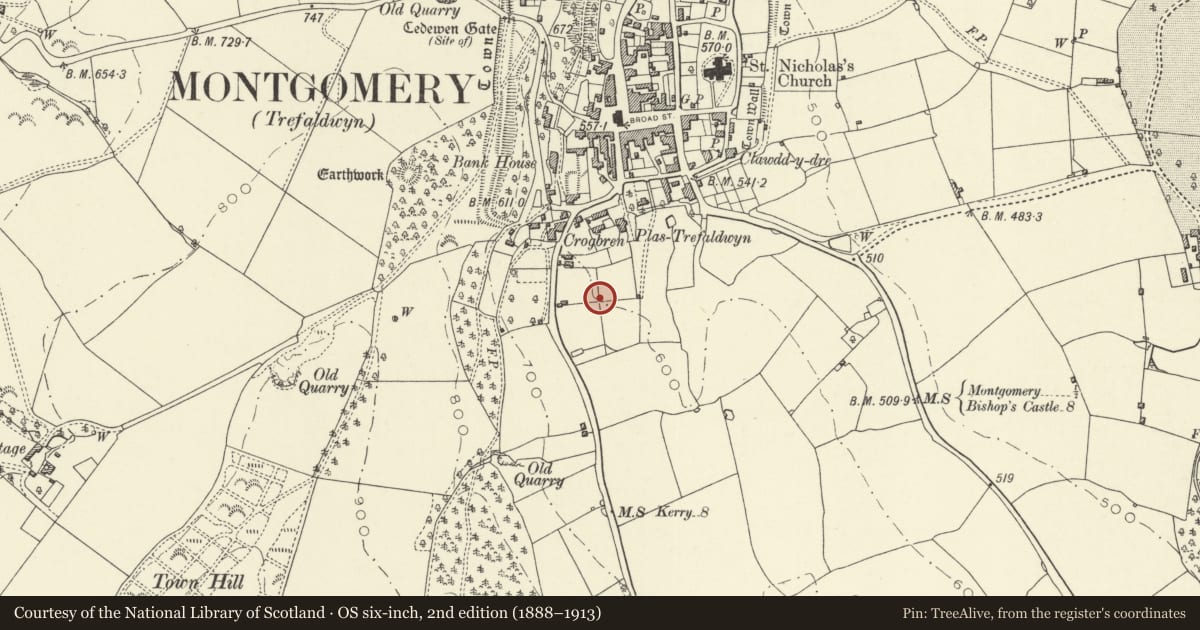Ordnance Survey six-inch map, 2nd edition (1888–1913) covering the location of Montgomery Medieval Town, Kerry Gate Extra Mural Settlement, Powys, with a pin at the register's coordinates