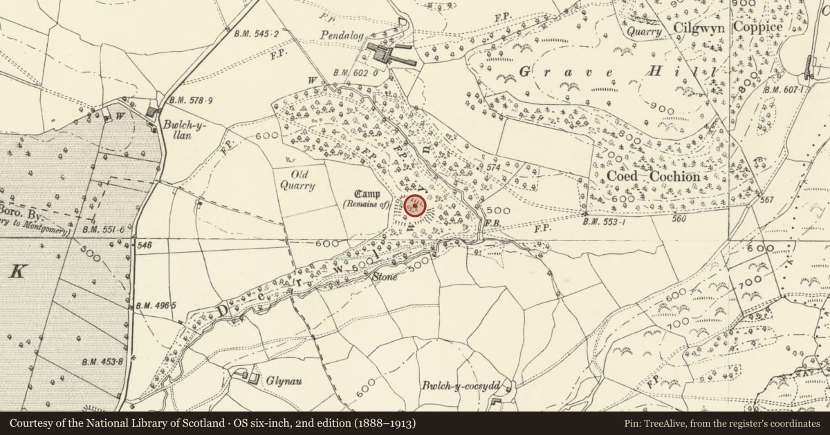 Ordnance Survey six-inch map, 2nd edition (1888–1913) covering the location of Derwlwyn Coppice Hillfort, Llanfyllin, Powys, with a pin at the register's coordinates