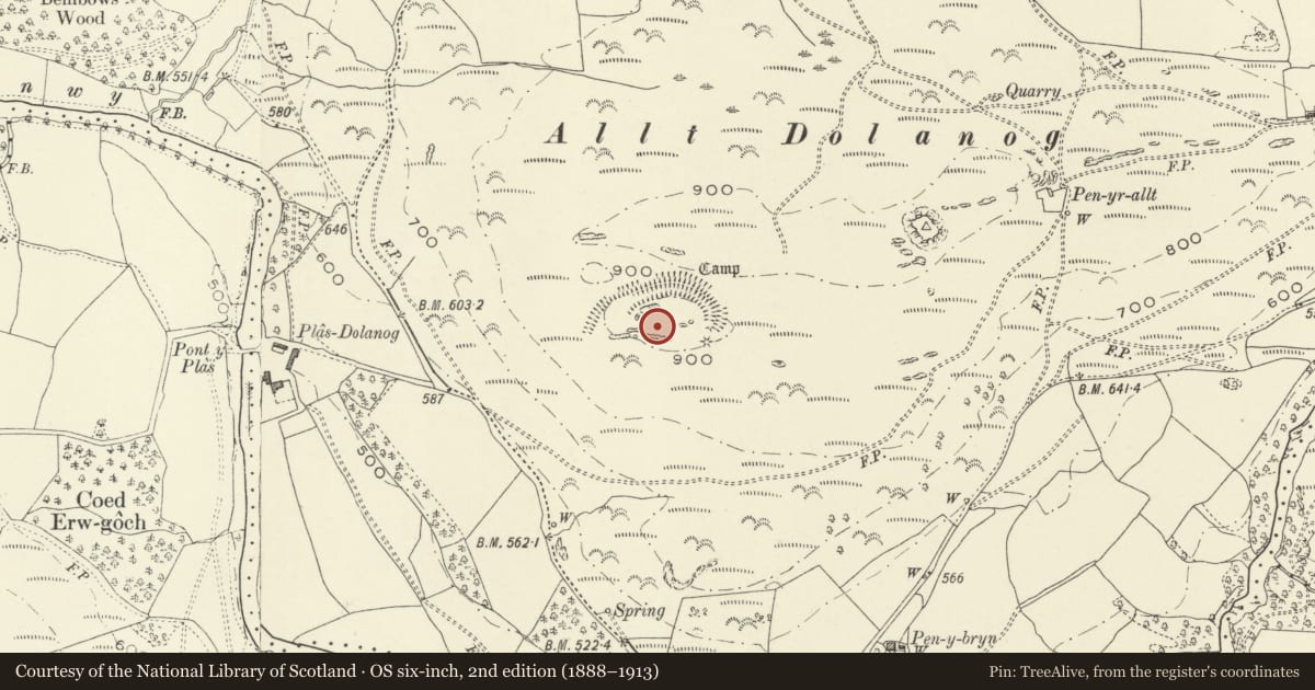 Ordnance Survey six-inch map, 2nd edition (1888–1913) covering the location of Allt Dolanog Hillfort, Llanfihangel, Powys, with a pin at the register's coordinates