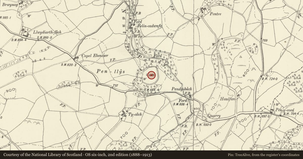 Ordnance Survey six-inch map, 2nd edition (1888–1913) covering the location of Pen-llys Hillfort, Llanfihangel, Powys, with a pin at the register's coordinates