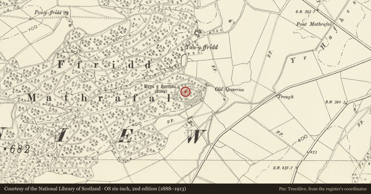 Ordnance Survey six-inch map, 2nd edition (1888–1913) covering the location of Bryn y Saethau Hillfort, Llangyniew, Powys, with a pin at the register's coordinates