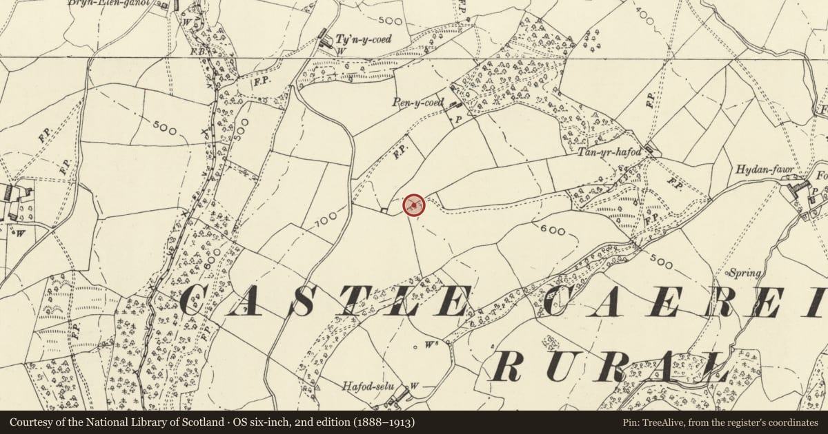 Ordnance Survey six-inch map, 2nd edition (1888–1913) covering the location of Pen y Coed Hillfort, Cyfronydd, Castle Caereinion, Powys, with a pin at the register's coordinates