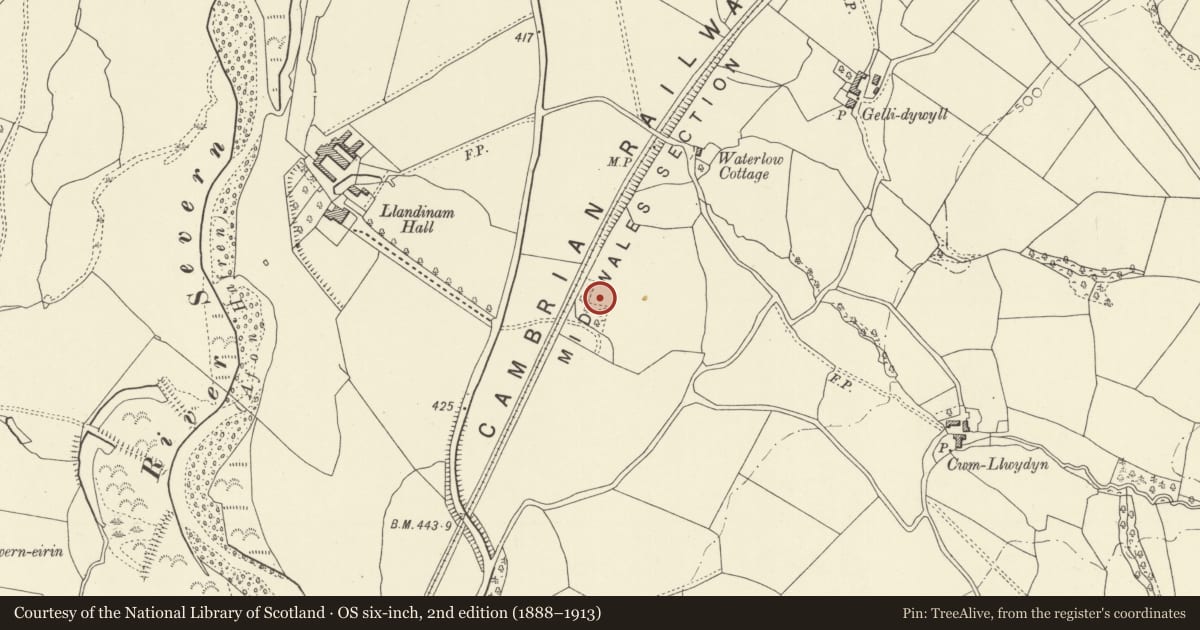 Ordnance Survey six-inch map, 2nd edition (1888–1913) covering the location of Llandinam Hall Enclosure, Powys, with a pin at the register's coordinates