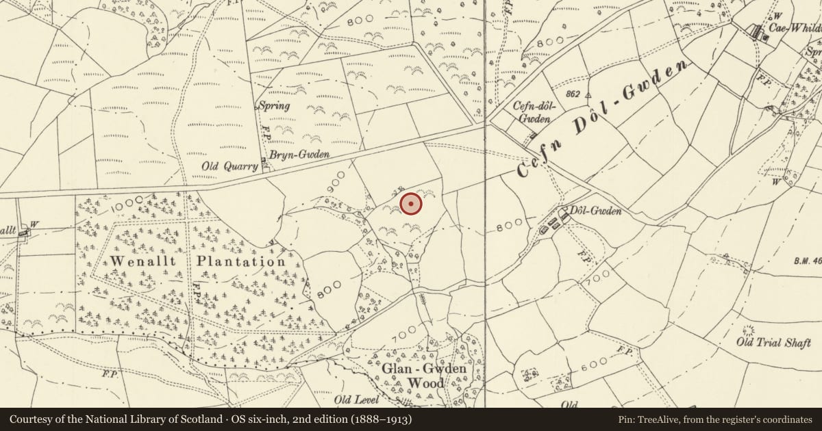 Ordnance Survey six-inch map, 2nd edition (1888–1913) covering the location of Dolgwden Enclosure, Trefeglwys, Powys, with a pin at the register's coordinates