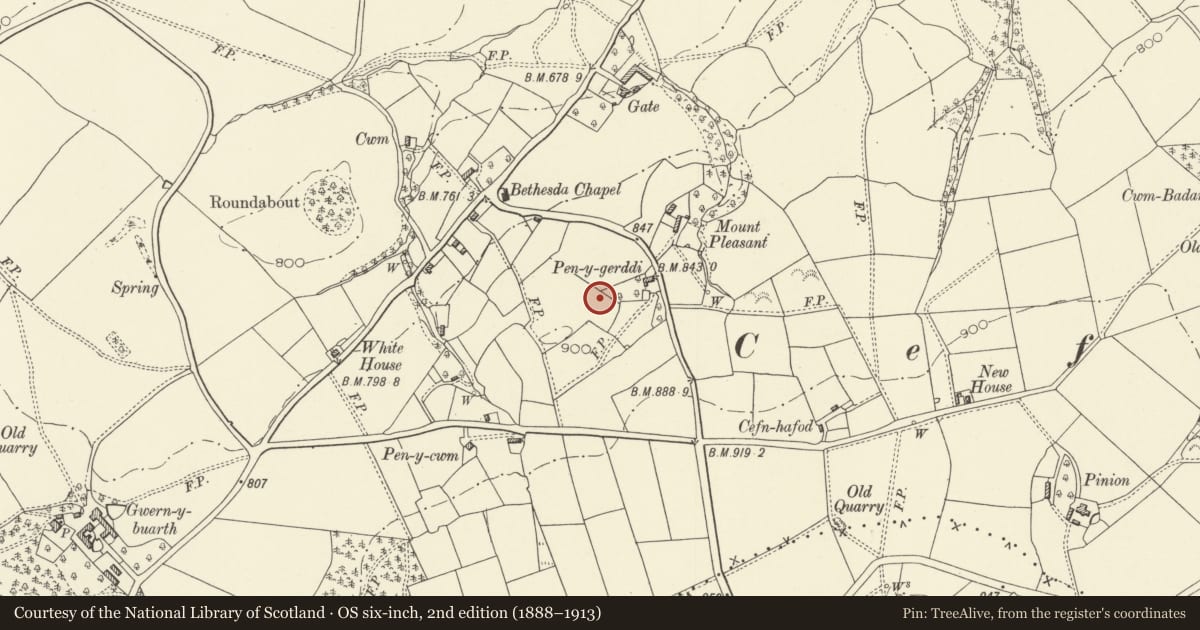 Ordnance Survey six-inch map, 2nd edition (1888–1913) covering the location of Mount Pleasant Enclosure, Llandyssil, Powys, with a pin at the register's coordinates