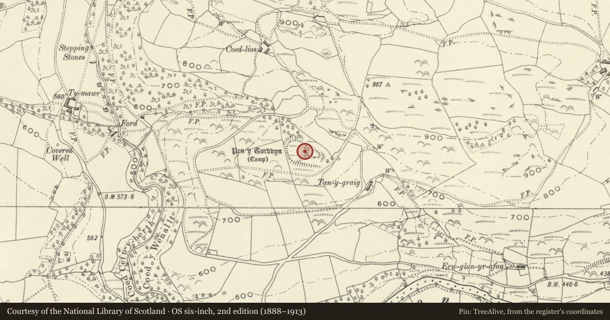 Ordnance Survey six-inch map, 2nd edition (1888–1913) covering the location of Pen y Gorddyn Hillfort, Llanfihangel, Powys, with a pin at the register's coordinates