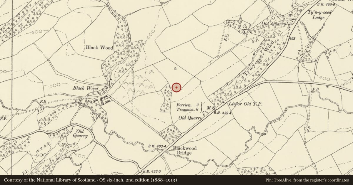 Ordnance Survey six-inch map, 2nd edition (1888–1913) covering the location of Blackwood Enclosure, Berriew, Powys, with a pin at the register's coordinates