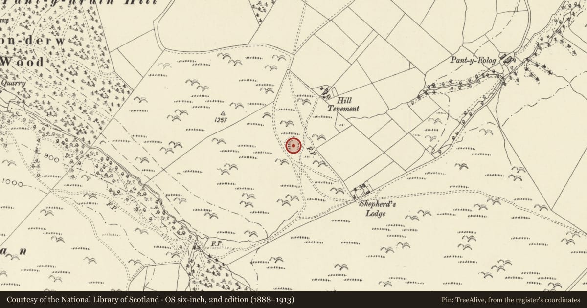 Ordnance Survey six-inch map, 2nd edition (1888–1913) covering the location of Hill Tenement Enclosure, Kerry, Powys, with a pin at the register's coordinates