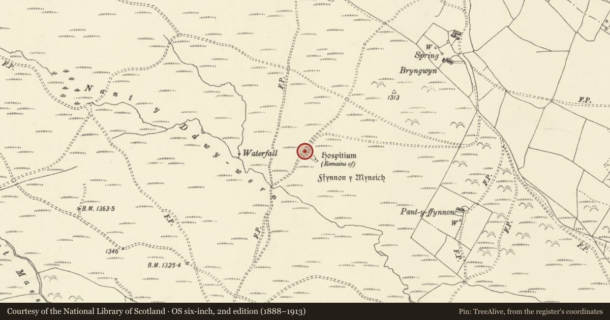 Ordnance Survey six-inch map, 2nd edition (1888–1913) covering the location of Llanwddyn Hospitium, Powys, with a pin at the register's coordinates