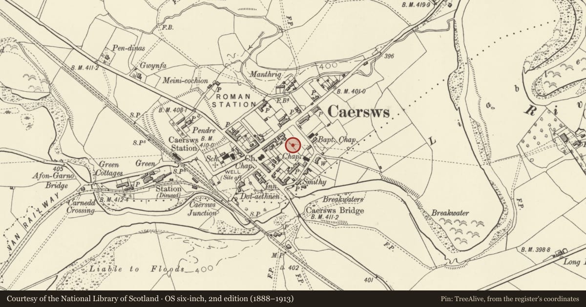 Ordnance Survey six-inch map, 2nd edition (1888–1913) covering the location of Caersws Roman Fort and Vicus: section in SE part of vicus, Powys, with a pin at the register's coordinates