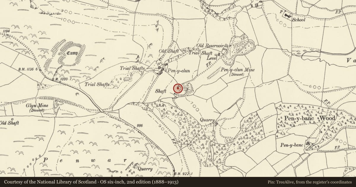 Ordnance Survey six-inch map, 2nd edition (1888–1913) covering the location of Penyclun Lead Mine, Llanidloes Without, Powys, with a pin at the register's coordinates