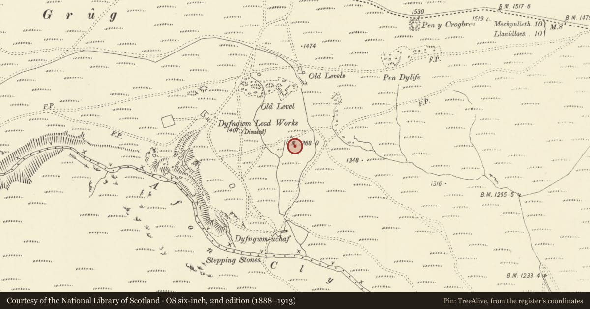 Ordnance Survey six-inch map, 2nd edition (1888–1913) covering the location of Dyngwm/Castle Rock Lead Mine, Llanbrynmair, Powys, with a pin at the register's coordinates