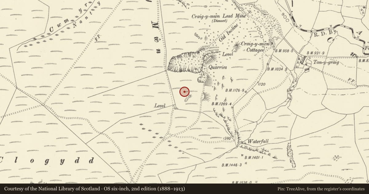 Ordnance Survey six-inch map, 2nd edition (1888–1913) covering the location of Craig-y-Mwyn Lead Mine, Llanrhaeadr-ym-Mochnant, Powys, with a pin at the register's coordinates