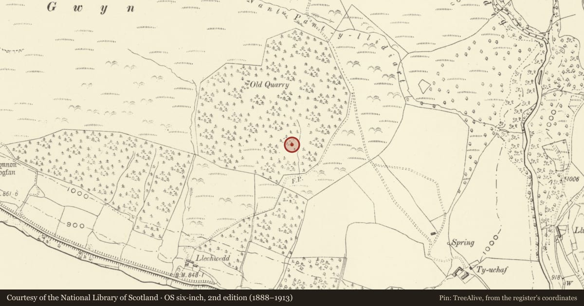 Ordnance Survey six-inch map, 2nd edition (1888–1913) covering the location of Bryn Gwyn Deserted Rural Settlement, Llanwddyn, Powys, with a pin at the register's coordinates