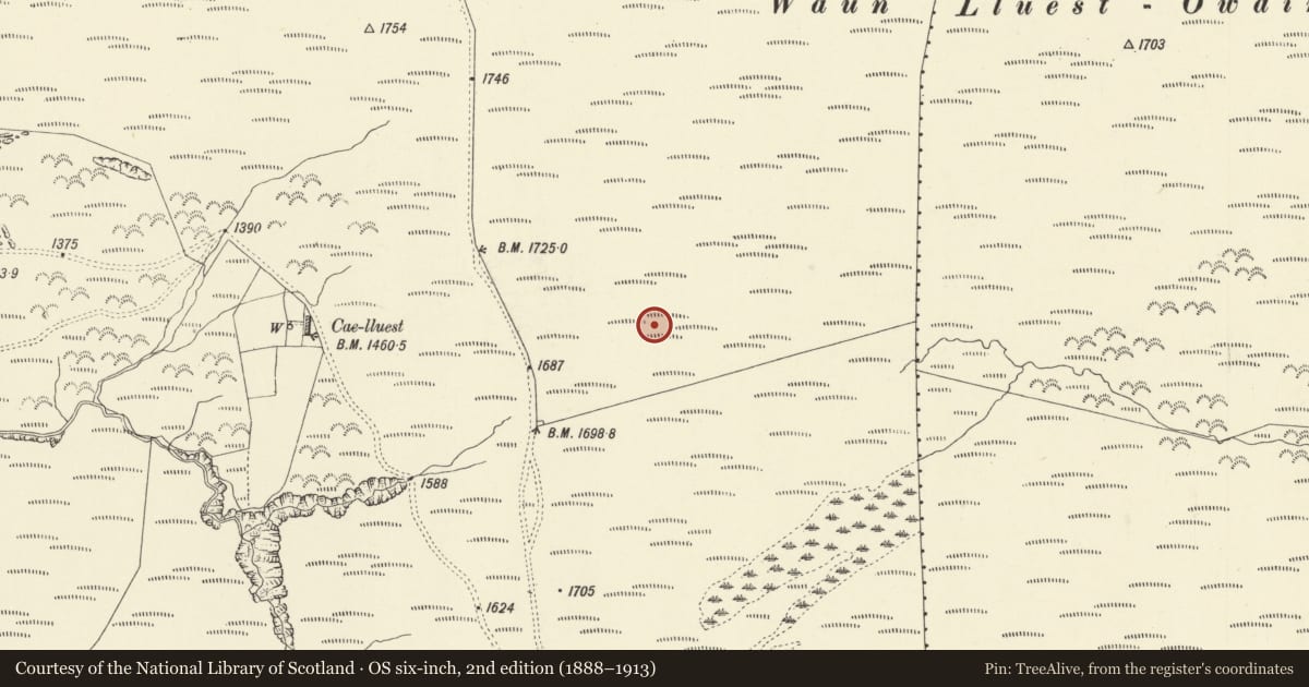Ordnance Survey six-inch map, 2nd edition (1888–1913) covering the location of Waun Lluest Owain Round Hut and Long Hut, Llandinam, Powys, with a pin at the register's coordinates