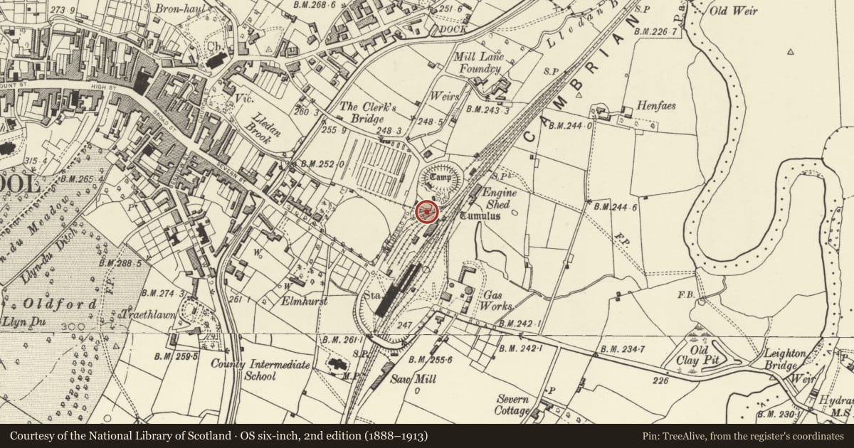 Ordnance Survey six-inch map, 2nd edition (1888–1913) covering the location of Railway Transfer Dock at Welshpool, Powys, with a pin at the register's coordinates