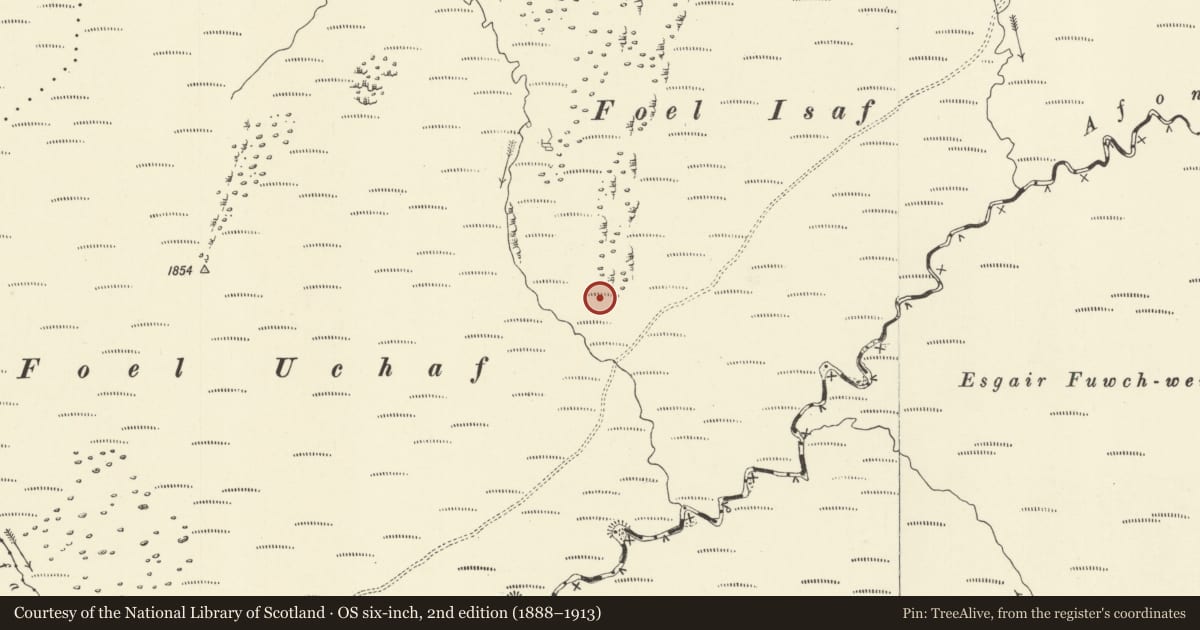 Ordnance Survey six-inch map, 2nd edition (1888–1913) covering the location of Hut Circle Settlement below Foel Isaf, Bugeilyn, Cadfarch, Powys, with a pin at the register's coordinates