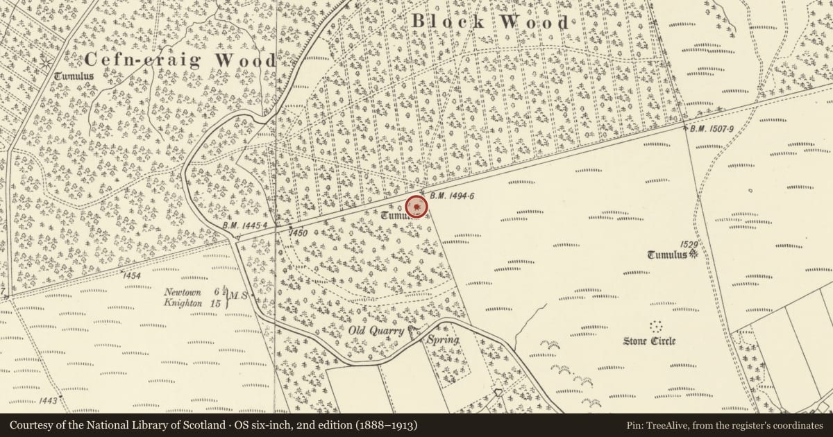 Ordnance Survey six-inch map, 2nd edition (1888–1913) covering the location of Block Wood Round Barrow, Kerry, Powys, with a pin at the register's coordinates